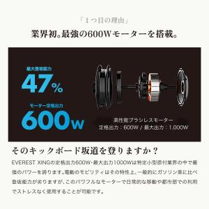 到着後レビューでプレゼント EVEREST X...の詳細画像3