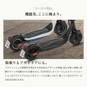 到着後レビューでプレゼント EVEREST X...の詳細画像5