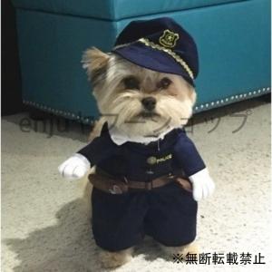 犬 おもしろ 服 レンタル 各種サービス の商品一覧 通販 Yahoo ショッピング