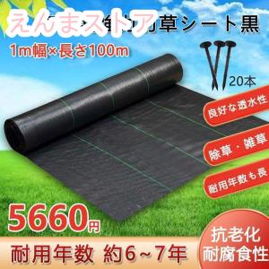 防草シート 1m幅×長さ100m 農用シート 除草 雑草 芝生