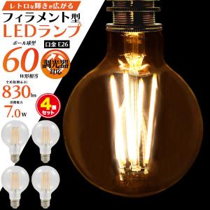 Panasonic（パナソニック） LED電球 LEDフラットランプ φ70