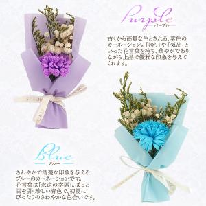 ソープフラワー カーネーション アレンジメント...の詳細画像5