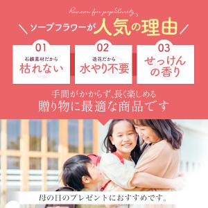 母の日 ギフト ソープフラワー カーネーション...の詳細画像3