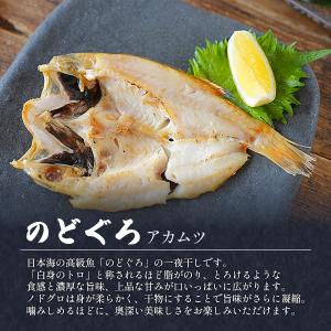 干物 ギフトセット 松 詰め合わせ 国産 無添...の詳細画像3