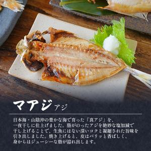 干物 ギフトセット 松 詰め合わせ 国産 無添...の詳細画像4