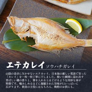 干物 ギフトセット 松 詰め合わせ 国産 無添...の詳細画像5