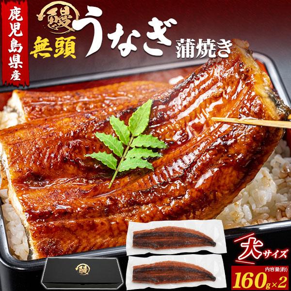 国産 鹿児島県産 うなぎ 蒲焼 無頭 150g 2尾 タレ付 セット 鰻 ウナギ かば焼き 土用の丑...