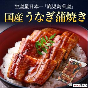 国産 うなぎ 蒲焼き 訳あり カット 80g×...の詳細画像2