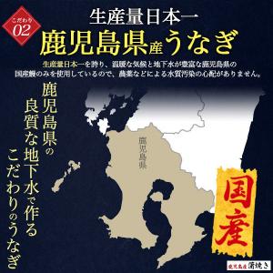 国産 うなぎ 蒲焼き 訳あり カット 80g×...の詳細画像4