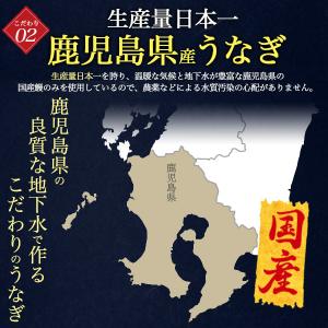うなぎ 鰻 ウナギ 訳あり アウトレット 国産...の詳細画像3