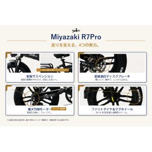 【型式認定】 Miyazaki R7Pro フ...の詳細画像3