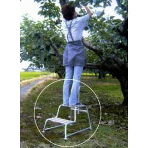 2段式もち手踏み台 小 15-30 2段式踏み台 もち手付き アルミ製 軽量 ガーデニング 農作業｜援農市場 ヤフー店