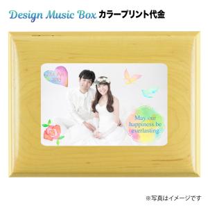 When You Wish upon a Star（星に願いを） 30弁 オルフェウス メカのみ