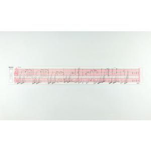 【Memory（メモリー）】20N オルガニート用ソングカード