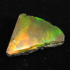 天然アンモナイト アンモライト 化石 標本 マダガスカル ディスク 円盤