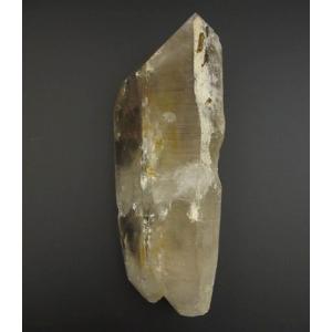 ロシアンレムリアン DT ツイン【506977a】の詳細画像1