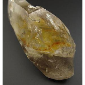 ロシアンレムリアン DT ツイン【506977a】の詳細画像2