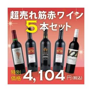 エノテカ厳選！超売れ筋赤ワイン5本セット RC11-1 / 750mlx5