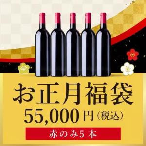 【送料無料】ワイン ワインセット お正月福袋55,000円（赤のみ5本）FF1-1 [750ml×5]【最長お届け日1/23まで】