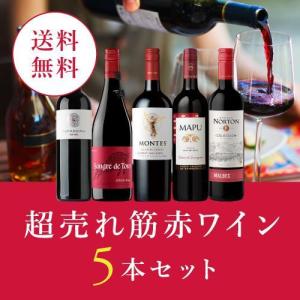 ワイン ワインセット 超赤ワイン5本セット RC1-1 [750ml