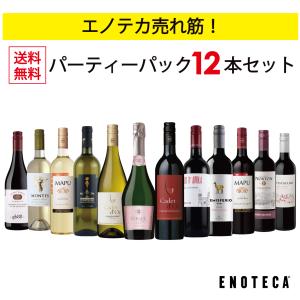 ワイン ワインセット エノテカ パーティーパック PP1-3 [750ml x 12] 送料無料