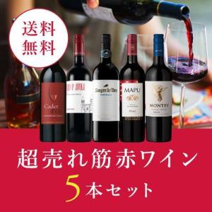 ワイン ワインセット 超赤ワイン5本セット RC2-1 [750ml