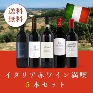 ワイン ワインセット イタリア赤ワイン満喫5本セット AN2-2 [750ml x 5] 送料無料