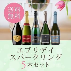 ワイン ワインセット エブリデイスパークリング5本セット UY3-1 [750ml x 5] 送料無料