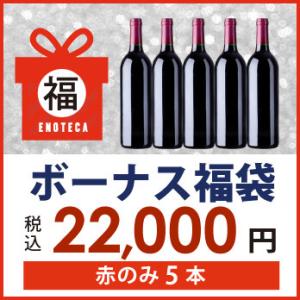 ワイン ワインセット ボーナス福袋 22,000円(赤のみ5本) BF6-1 [750ml×5] 送料無料