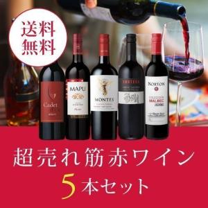 ワイン ワインセット エノテカ厳選！超売れ筋赤ワイン5本セット RC7-1 [750ml x 5] 送料無料