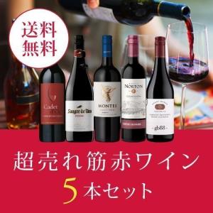ワイン ワインセット 超売れ筋赤ワイン5本セット RC7-1 [750ml x 5] 送料無料