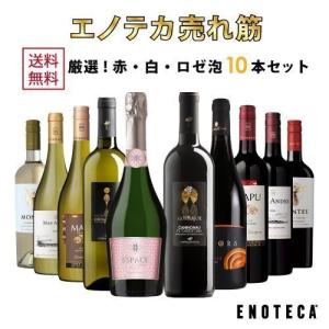 【アンコールボックス】ワイン ワインセット ENOTECA パーティーパック PP8-1 [750ml x 10] 送料無料