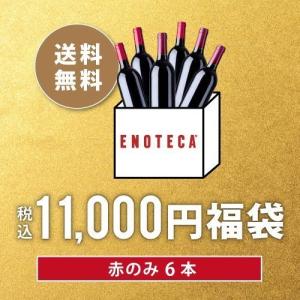 ワイン ワインセット 税込11,000円福袋 赤のみ6本 PF9-1 [750ml x6] 送料無料 ワイン福袋