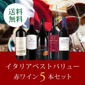 【送料無料】ワイン ワインセット イタリアベストバリュー赤ワイン5本セット BI10-1 [750ml x 5]