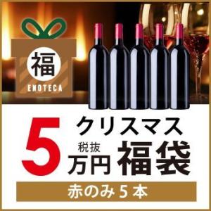 ワイン ワインセット 期間限定 クリスマス福袋50,000円（赤のみ5本）KF11-1 [750ml x 5] 送料無料
