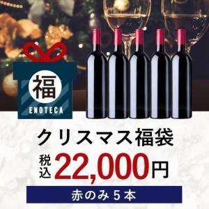 ワイン ワインセット クリスマス福袋22,000円（赤のみ5本）CF12-1 [750ml x5] 送料無料