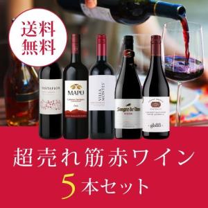 ワイン ワインセット エノテカ厳選！超売れ筋赤ワイン5本セット RC12-1 [750ml x 5] 送料無料