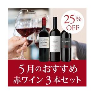 赤ワインセット / 5月のおすすめ赤ワイン3本セット KK5...