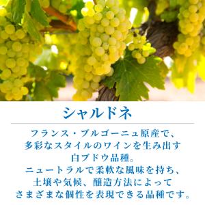 ワインセット 白ワイン エノテカ シャブリ入り...の詳細画像2