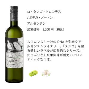ワイン ワインセット エノテカ直輸入 バイヤー...の詳細画像1