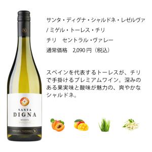 ワイン ワインセット エノテカ直輸入 バイヤー...の詳細画像3