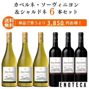 ワイン ワインセット ワイン専門店のイチオシ！エノテカ厳選白