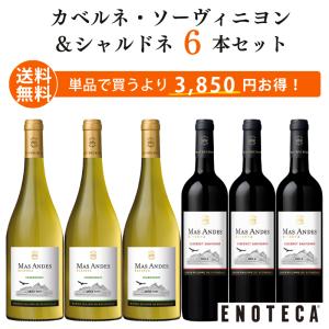 ワイン ワインセット エノテカ マス・アンデス赤白6本まとめ買い MA12-1 [750ml x 6] 送料無料（891210MA47C3）｜enoteca-online