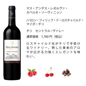 ワイン ワインセット エノテカ マス・アンデス...の詳細画像1