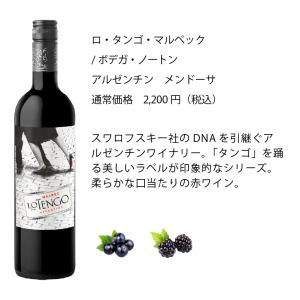 ワインセット エノテカ 厳選赤ワイン10本セッ...の詳細画像2