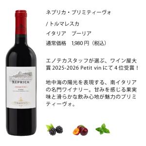 ワインセット エノテカ 厳選赤ワイン10本セッ...の詳細画像3