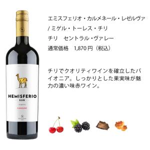 ワインセット エノテカ 厳選赤ワイン10本セッ...の詳細画像5