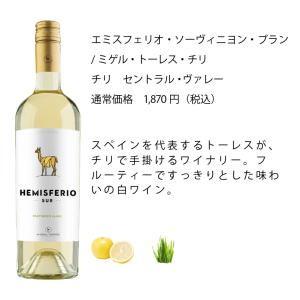 ワイン ワインセット ワイン専門店のイチオシ!...の詳細画像5