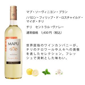 ワインセット エノテカ売れ筋!厳選バラエティー...の詳細画像5