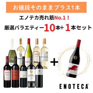 ワインセット +1本増量中 数量限定 厳選バラエティー10本＋1本セット PQ10-1 [750ml x 11] 送料無料 (890920J600C6)
